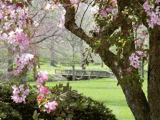 Wabash Parks in the Spring