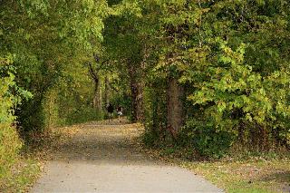 Paradise Springs Walking Path