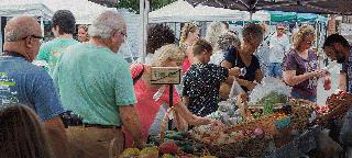 Farmer's Market