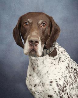 K9 Bender